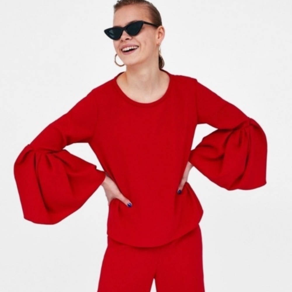 Zara Ruffled Bell Sleeve Top/Medium